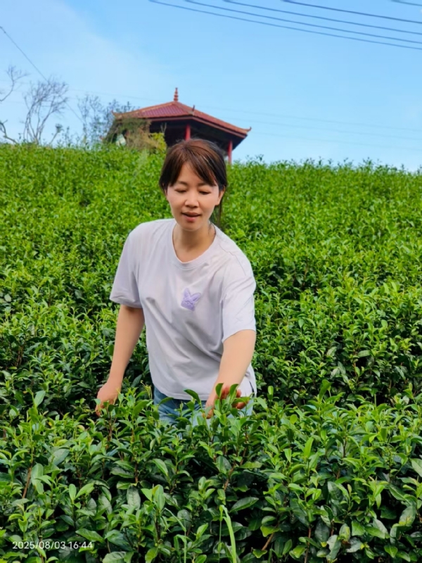 Q绮芳的第一张照片--龙岩婚介网